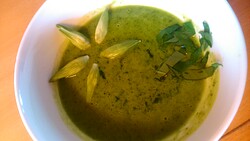 Mein traditioneller Starttermin für die Kräuter- Saison: der 28. 03. - Weltgedenktag des Unkrauts Sehen, gehen, zuhören, staunen, schmecken und lernen. ... . Dieses Jahr ist es der Tag ... Kräuterwanderung am Weltgedenktag des Unkrauts