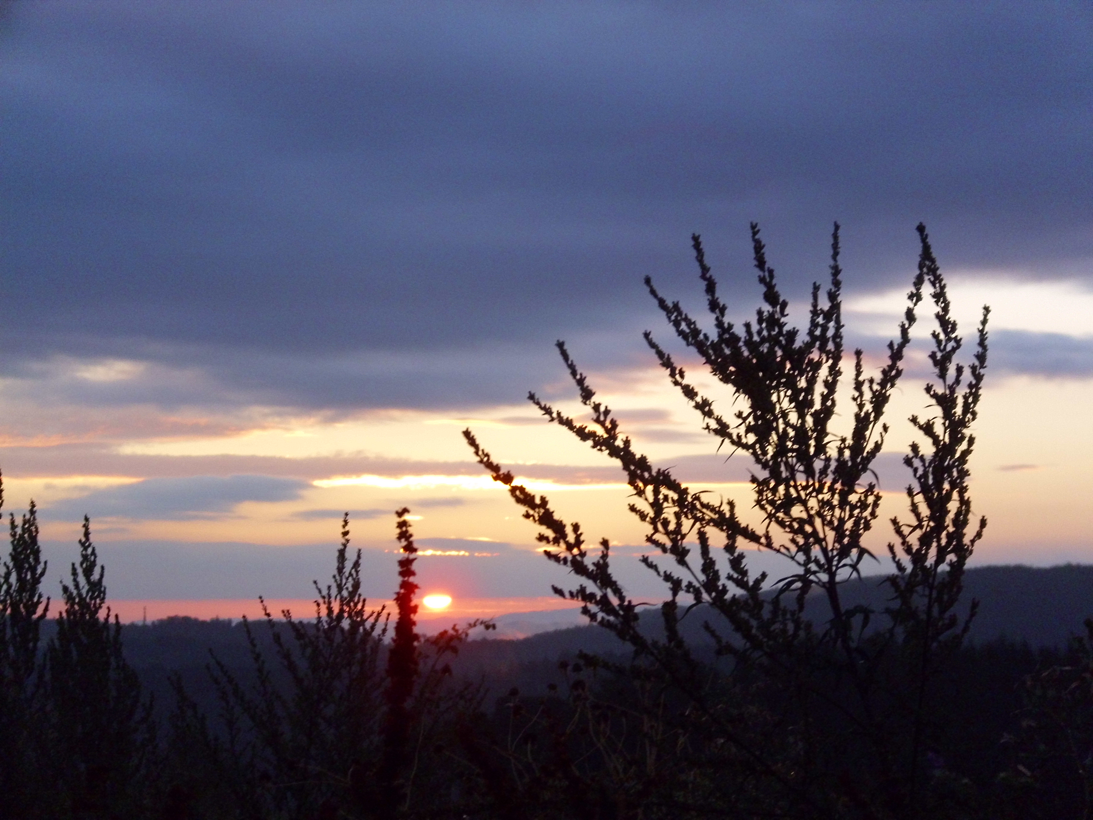 Abend-Wanderung 